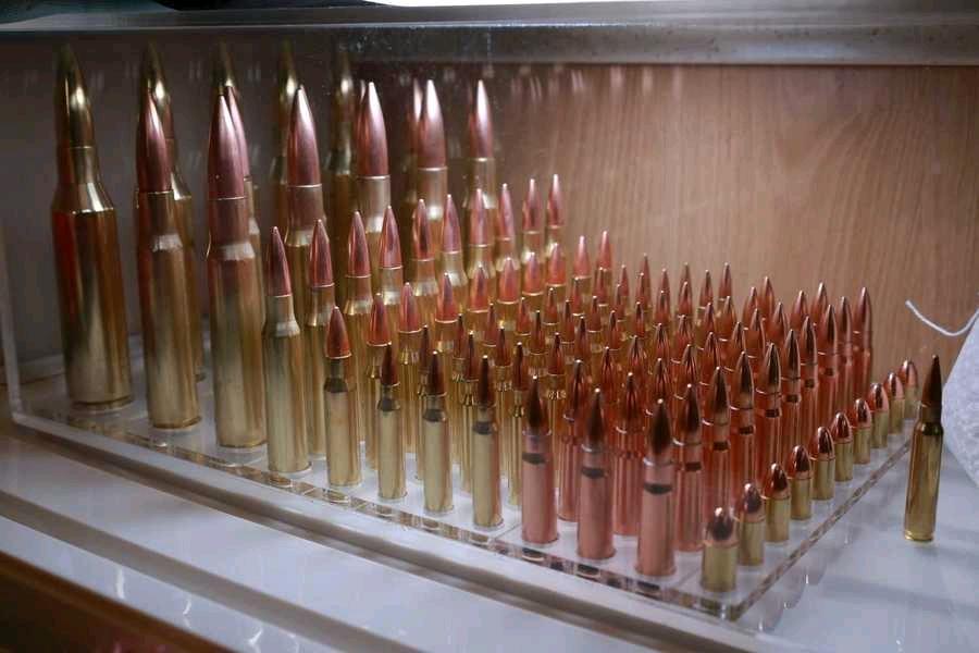 1784528930445_1784528920597.jpg