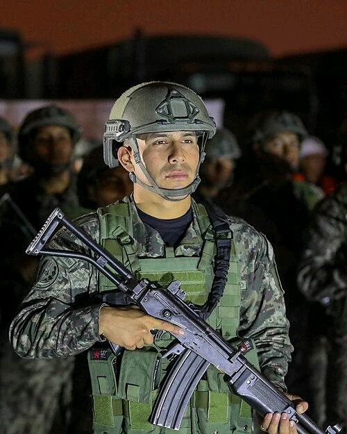 1784770464483_Peruvian_soldier_2019.jpg