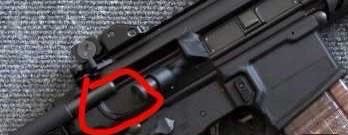 1784973416-compressed-IMG_8334.JPG