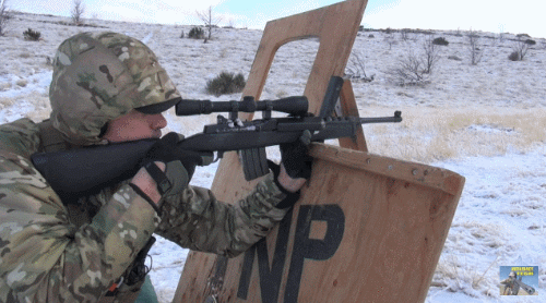 b5633cee253ac5feeb460317963ec15fbda1ce4b_raw.gif